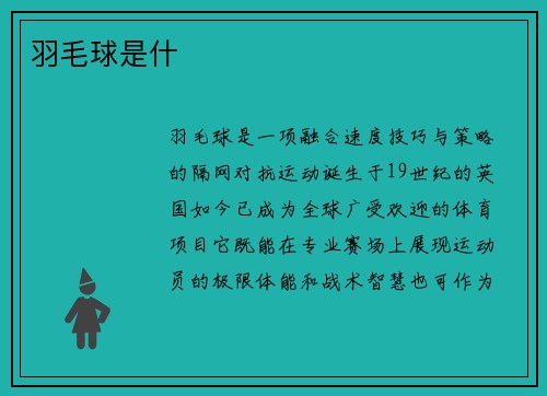 羽毛球是什